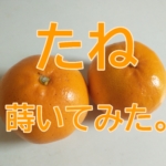 Thumbnail of post image 067