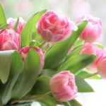 Thumbnail of post image 173